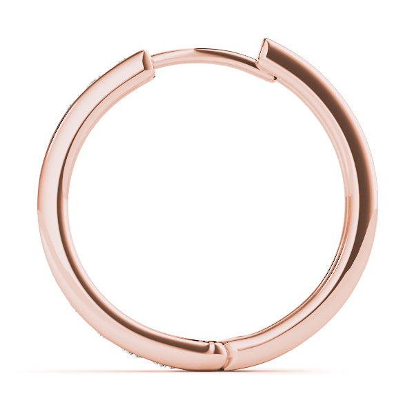 EARRINGS HOOP EARRINGS STANDARD HOOPS Complete per pair.